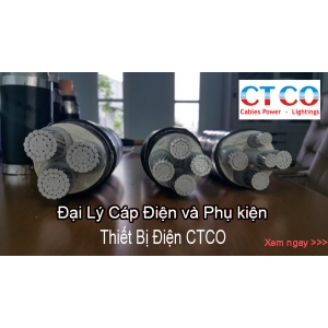 Cáp nhôm ngầm hạ thế 0.6/1kv Al/xlpe/pvc/dsta/pvc