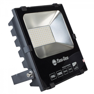 Đèn Pha LED 100W Rạng Đông